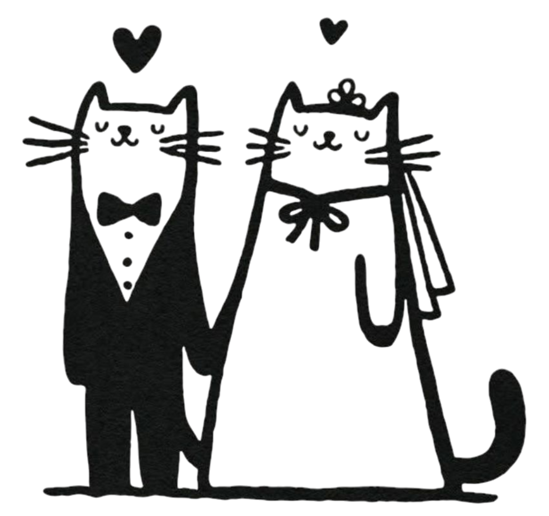 Gatos boda